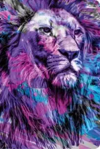 Bíblia NTLH Youversion - The Lion Gelo