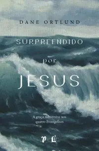 Surpreendido Por Jesus - A Graça Subversiva Nos Quatro Evangelhos